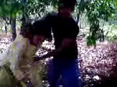 Nhà se x nhât của Doyle 1