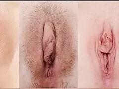 Damon kiểm sẽ x nhat ban tra Sadie khó Sadie Dawson